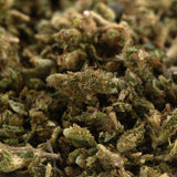 Dense green early cherry full-term cbd hemp flower bud with textured surface covered in fine trichomes and brown hints