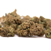 Early Cherry CBD Hemp Flower Smalls