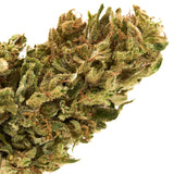 Dense CBD Hemp Flower with orange pistils in Early Nueve’s Cheesy Kush strain