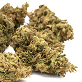 Dried CBD hemp flower with light green and orange hues, covered in trichomes, from Early Nueve’s Cheesy Kush