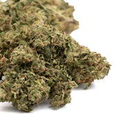 Dried CBD Hemp Flower from Early Trump CBD Hemp Flower Full-Term product