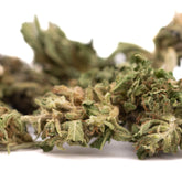 Dried greenish early trump cbd hemp flower full-term smalls buds with dense trichomes in hemp flower full-term form