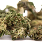 Early trump cbd hemp flower dense green cbd smalls flower with fine trichomes and afghan skunk hints