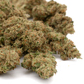 Dried CBD Hemp Flower Sour Diesel with Trichomes and Orange Hairs for Early Wu CBD