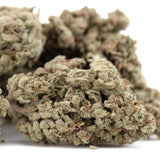 Dense Face Fat THCa hemp flower bud with trichomes and green hue
