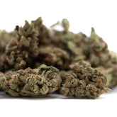 Face Fat THCa Flower Smalls Full-Term