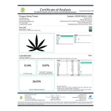 Fire OG THCa Hemp Flower - Plants