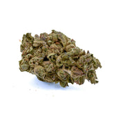 Fire OG THCa Hemp Flower - Plants