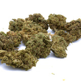 Fire OG THCa Hemp Flower - Plants