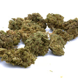 Fire OG THCa Hemp Flower - Plants