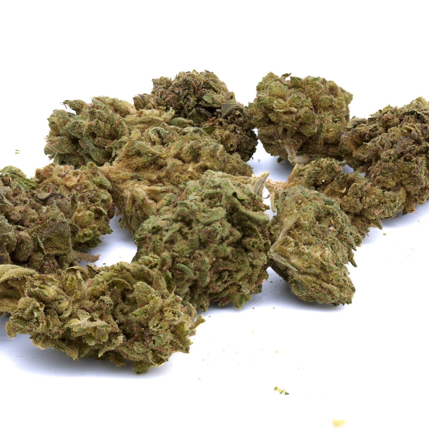 Fire OG THCa Hemp Flower - Plants