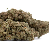 Premium Fog Dog organic THCa flower bud with dense trichomes