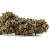 Premium Fog Dog organic THCa flower: dense green purple bud with trichomes