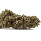 Premium Fog Dog organic THCa flower: dense green purple bud with trichomes