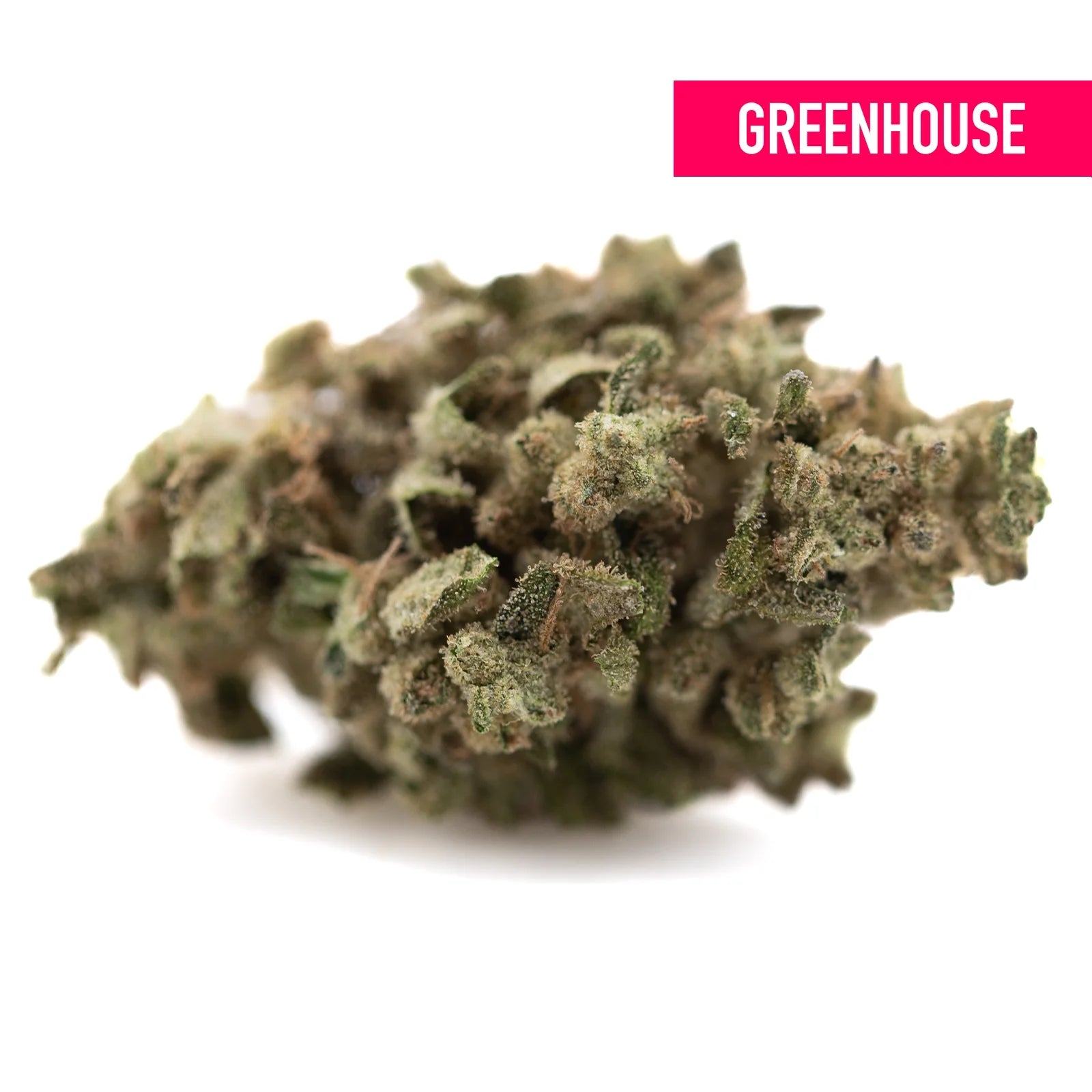 A dense greenish-brown fornicator thca hemp flower bud with trichomes from greenhouse hemp cultivation practices