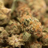 Garlic Cookies THCa Hemp Flower Greenhouse Smalls - Plants