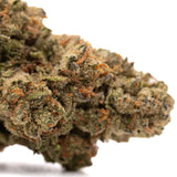 Garlic Cookies THCa Hemp Flower Greenhouse - Plants