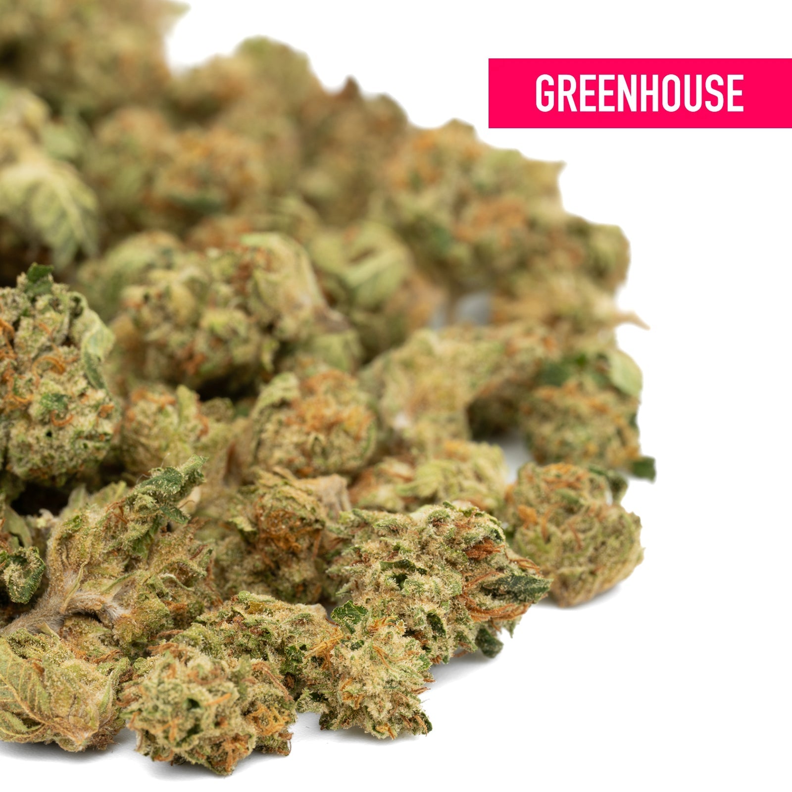 Garlic Cookies THCa Hemp Flower Greenhouse Smalls - Plants