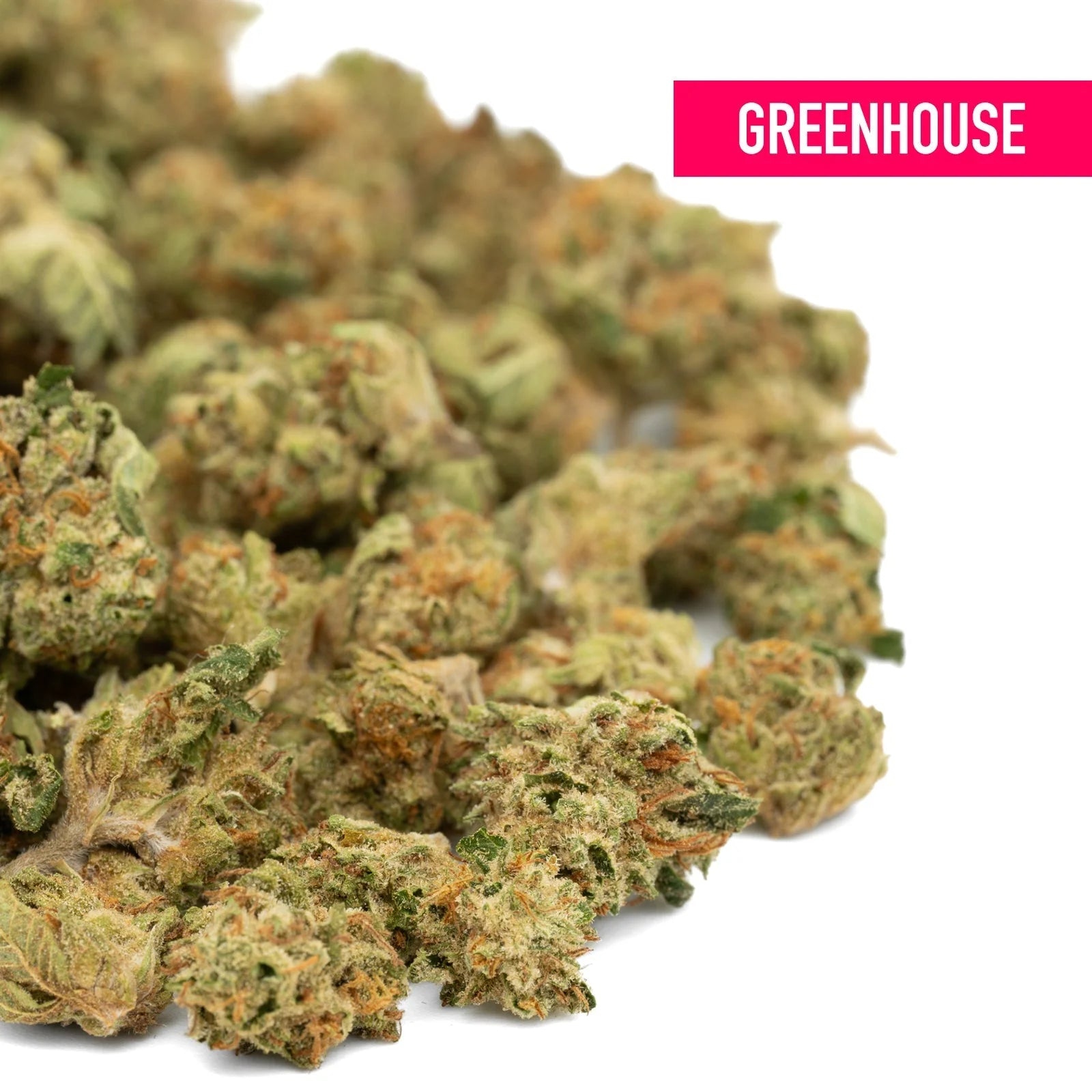 Garlic Cookies THCa Hemp Flower Greenhouse Smalls - Plants