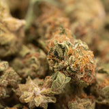 Garlic Cookies THCa Hemp Flower Greenhouse Smalls - Plants