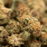 Garlic Cookies THCa Hemp Flower Greenhouse Smalls - Plants