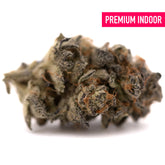 Dense frosty Garlic OG Indoor THCa Flower with orange pistils and Afghani genetics
