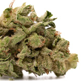 Gary Payton THCa Hemp Flower Greenhouse Wholesale - Plants