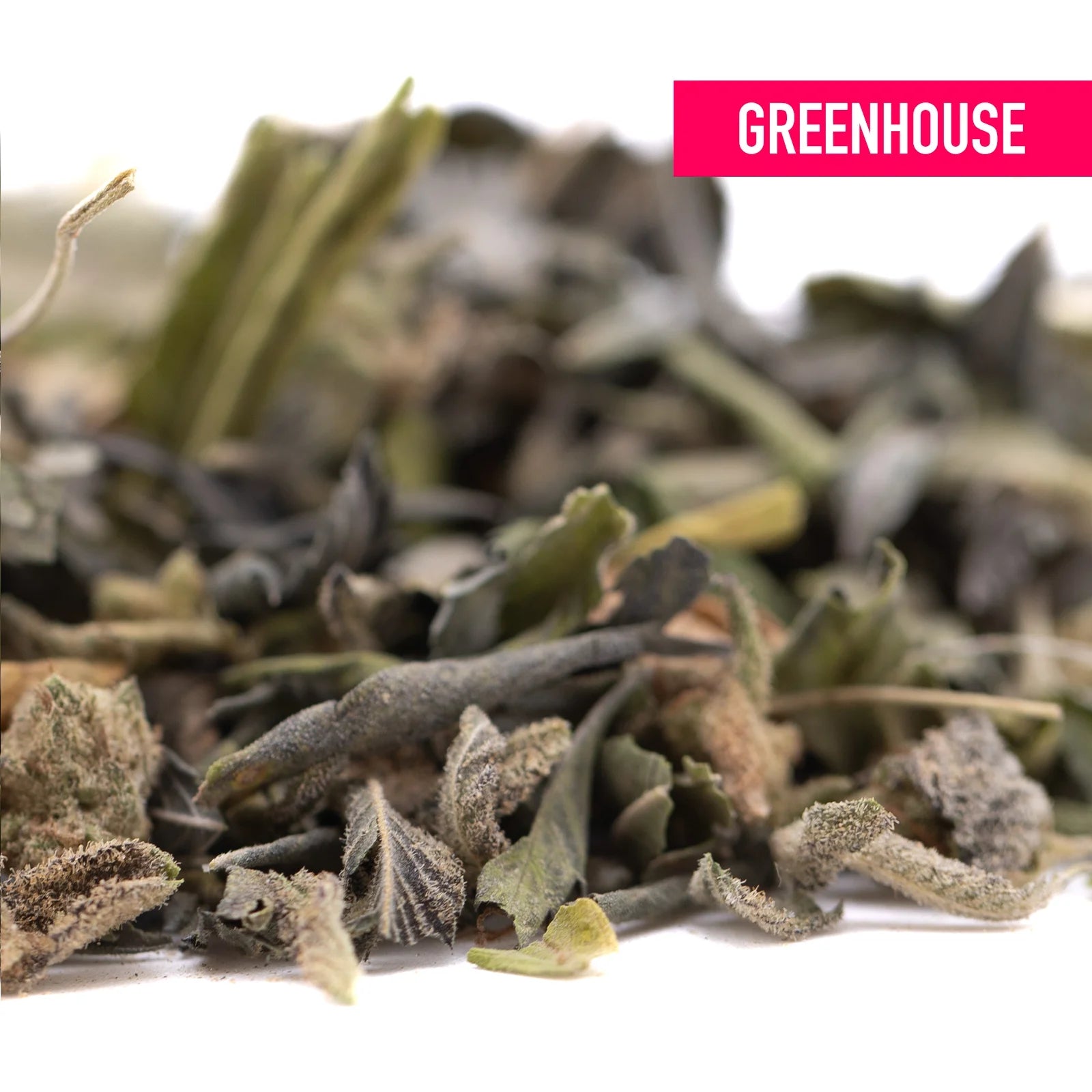 Dried sage leaves in green and gray shades with fuzzy texture for gas greenhouse thca trim wholesale kush phenotype