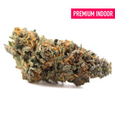 Gas guzzler indoor thca flower with dense resinous hemp flower in green and orange hues covered in fine trichomes