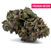 Dark green and purple cannabis bud with trichomes and orange hairs from Gas Indoor THCa Flower, high THCA, lemon pine aroma