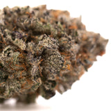Dense GAS Indoor THCa Flower bud covered in trichomes and orange pistils, rich terpene profile