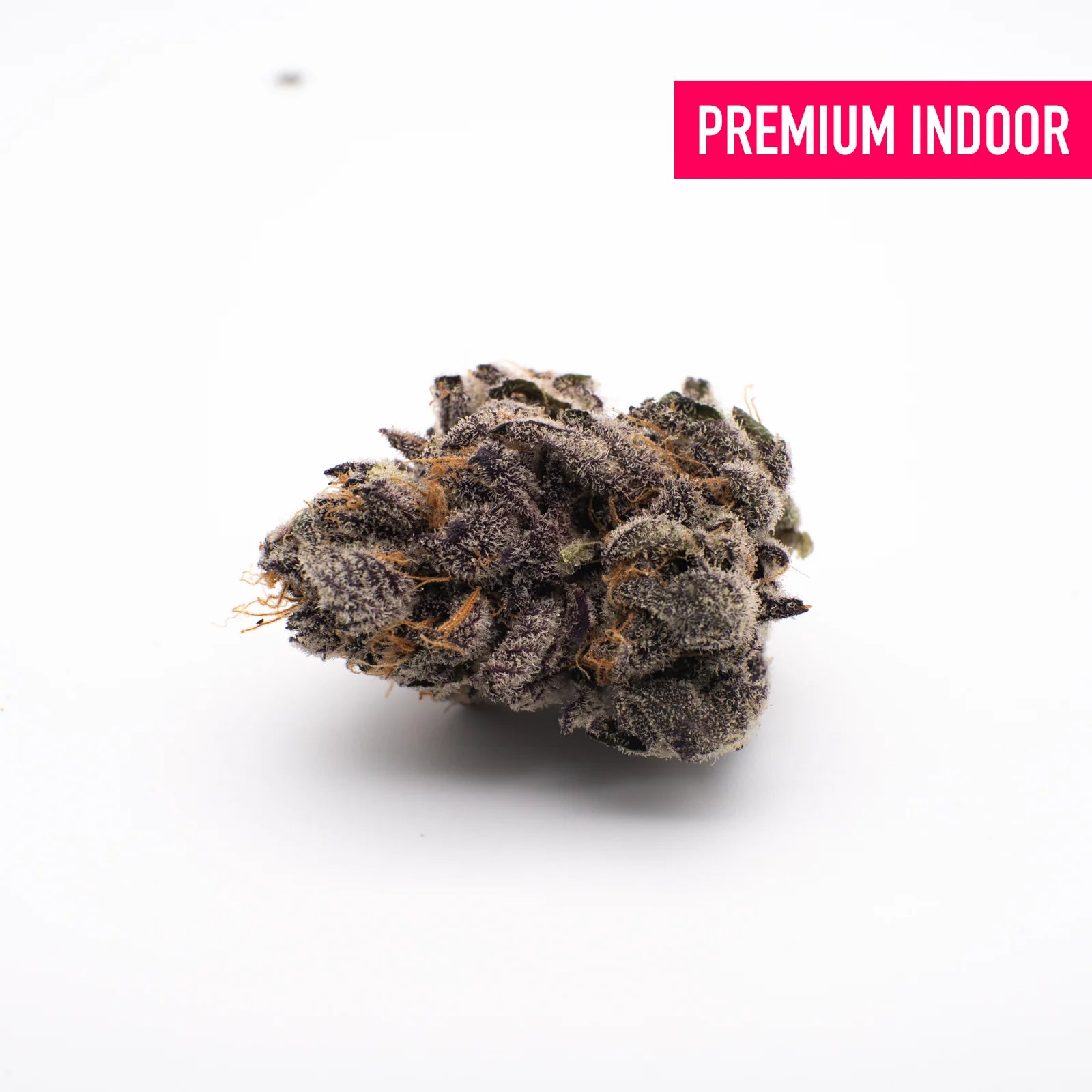 Gas Monkey Indoor THCa Flower - Plants