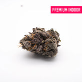 Gas Monkey Indoor THCa Flower - Plants