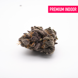 Gas Monkey Indoor THCa Flower - Plants