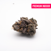 Gas Monkey THCa Flower Wholesale - 1/2lb - Plants