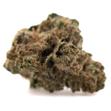 A dense irregular gas monkey hemp flower greenhouse bud with green brown hues and high thca content covered in trichomes