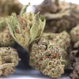 Gas thca flower greenhouse smalls dense green and brown bud with frosty white trichomes from Oregon greenhouse