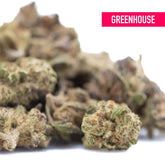 Gas thca flower greenhouse smalls feature dense green and brown cannabis buds with orange pistils from oregon greenhouse