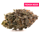 Dense GAS Indoor THCa Flower bud with trichomes and orange pistils, rich terpene profile