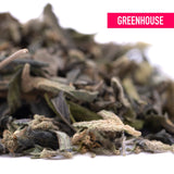 A pile of dried white and green tea leaves with dark stems from gassa purple’s greenhouse thca trim wholesale