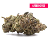 A dense resinous gassa purple greenhouse thca flower with green and purple hues and heavy diesel aroma