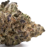 Dense resinous gassa purple thca flower with white trichomes and dark purple pistils from baox x therapy greenhouse wholesale