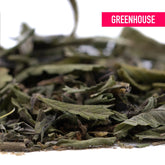 Dried green gelato greenhouse thca trim wholesale leaves showcasing rich terpene profile for herbal use