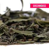 Dried green gelato greenhouse thca trim wholesale leaves showcasing rich terpene profile for herbal use