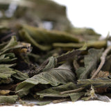 Dried green mint leaves with curled edges and matte texture in gelato greenhouse thca trim wholesale terpene profile
