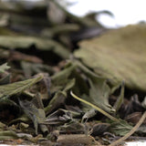 Dried sage leaves in gelato greenhouse thca trim wholesale showing green and brown shades with rich terpene profile