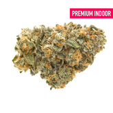 Bacio Gelato Indoor THCa Flower - Plants