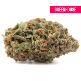 Green cannabis bud with orange trichomes on Gelato THCa hemp flower Greenhouse label