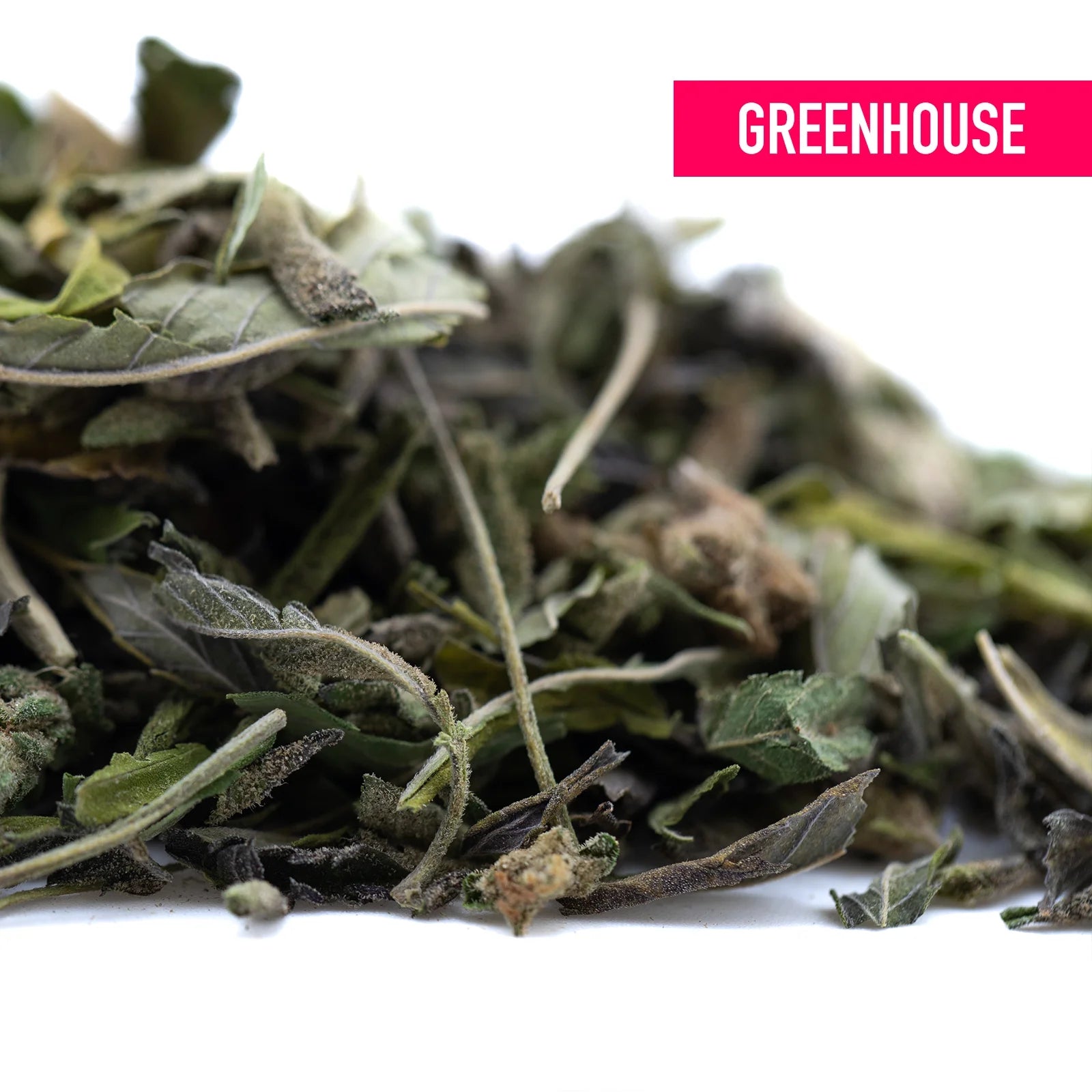 Dried green mint leaves with light and dark shades and brown edges in giggle gas greenhouse thca trim wholesale hemp flower
