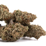 Dense greenhouse thca flower with green and brown hues showcasing premium hemp in giggle gas thc hemp flower